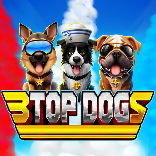 3 Top Dogs
